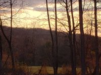 BackHill20200401_191329.jpg
