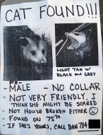 possum_poster.jpg