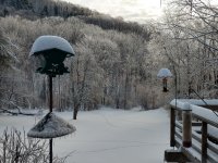 snow and ice1.jpg