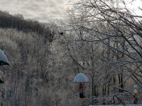 snow and ice2.jpg