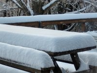 bit over 8 ins snow.jpg