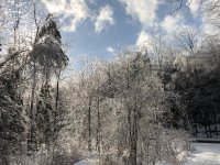 IMG_2215 3 2.jpeg