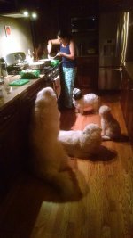 IMG_20171010_184106835.jpg