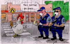 Why did the chicken_.JPG