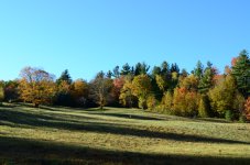DSC_9195m1024.JPG