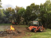 2020-04-06BurnPile.jpg