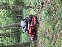 IMG_4762.jpeg