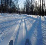 mudlaketrailpretty.jpg