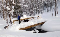 pedbridgesnowload.jpg