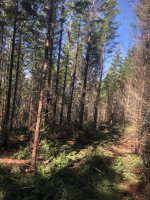 IMG_1631.jpg