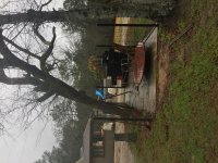 IMG_3525.JPG