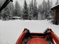 10feb2020 beforeplowing.jpg