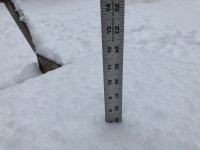 IMG_7406.jpeg