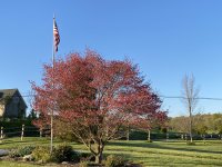 IMG_3878.JPG