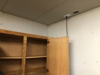 IMG_3964.jpeg