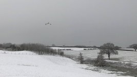 2020 snow.jpg