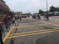 IMG_3597.JPG