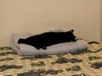 IMG_4167.JPG