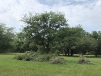 IMG_1674.jpg
