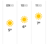 Vitamin D.png