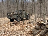Brutus firewood.jpg
