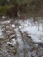 20200301_084747.jpg