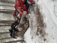 IMG_5477.jpg IMG_5477.jpg