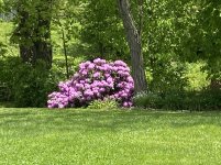 IMG_4610.JPG