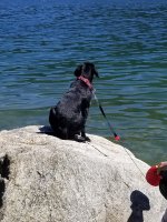 20180724_141241.jpg