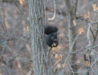 IMG_6798.JPG