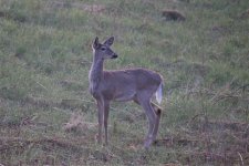 IMG_2013 (2).JPG