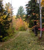 Sidewinder in the fall(DL).jpg