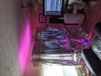 IMG_20200301_145326.jpg