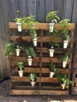 Living Wall.jpg