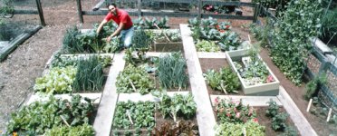 original-square-foot-garden.jpg