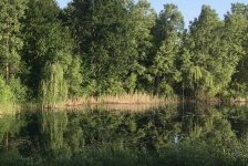 IMG_E1728.JPG