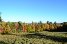 DSC_9237.jpg