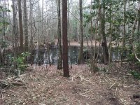 IMG_2141.JPG