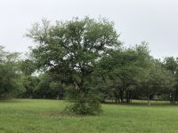 IMG_1680.jpg