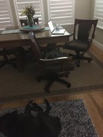 IMG_3645.JPG