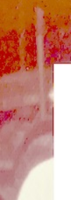 Annotation 2020-05-01 095355.png