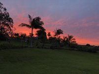 IMG_1398.JPG