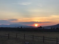 66F44BC6-AB77-4394-811C-A987A3107AC4.jpeg