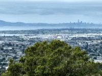 IMG_20200409_133648143_HDR.jpg