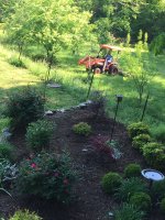 IMG_1459.JPG