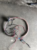IMG_1687.JPG