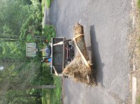 Stump20200620_122537.jpg