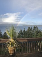 IMG_8878.jpeg