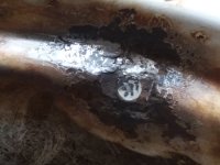 20191228_111435.jpg