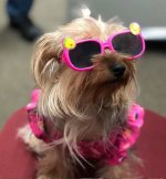 Lola.jpg